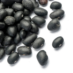 Buy black beans online in bulk 