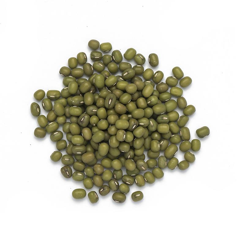 Mung Bean in Bulk